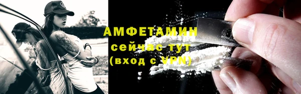 молекула духа Богородск