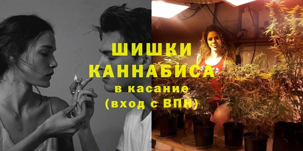 гашик Богданович