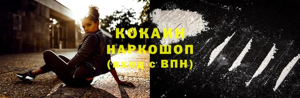 молекула духа Богородск