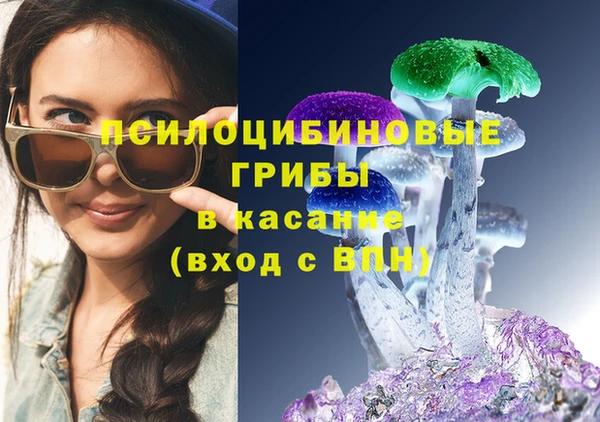 молекула духа Богородск