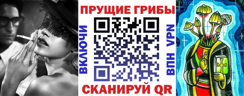 Галлюциногенные грибы мухоморы  Купить закладки  Пошехонье 