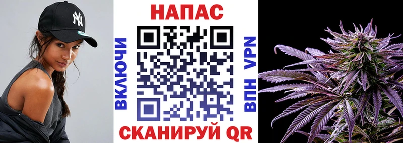 Купить закладки  Пошехонье  Шишки марихуана гибрид 